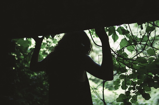 SEI DEL BOSCO O SEI STATO ADDOMESTICATO?